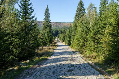 Śnieżka z Karpacza przez Pielgrzymy, Słonecznik i trzy karkonoskie schroniska