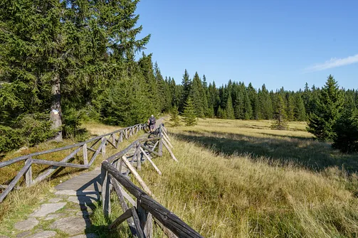 Śnieżka z Karpacza przez Pielgrzymy, Słonecznik i trzy karkonoskie schroniska