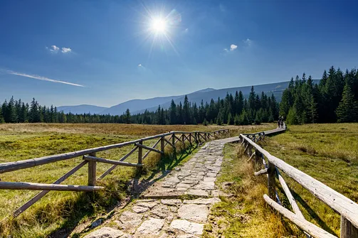Śnieżka z Karpacza przez Pielgrzymy, Słonecznik i trzy karkonoskie schroniska