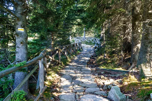 Śnieżka z Karpacza przez Pielgrzymy, Słonecznik i trzy karkonoskie schroniska