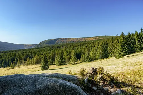 Śnieżka z Karpacza przez Pielgrzymy, Słonecznik i trzy karkonoskie schroniska