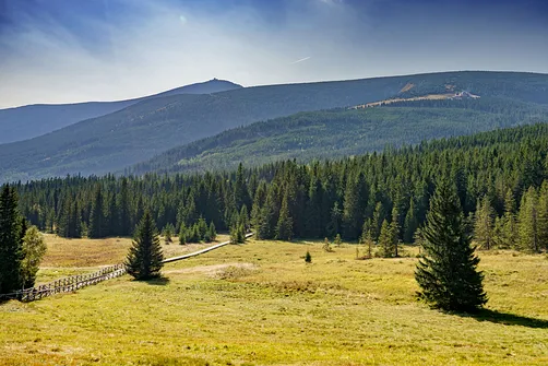 Śnieżka z Karpacza przez Pielgrzymy, Słonecznik i trzy karkonoskie schroniska