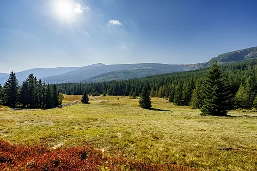 Śnieżka z Karpacza przez Pielgrzymy, Słonecznik i trzy karkonoskie schroniska