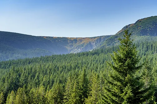 Śnieżka z Karpacza przez Pielgrzymy, Słonecznik i trzy karkonoskie schroniska