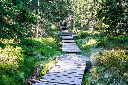 Śnieżka z Karpacza przez Pielgrzymy, Słonecznik i trzy karkonoskie schroniska