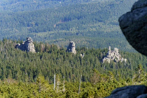 Słonecznik w Karkonoszach - widok na Pielgrzymy