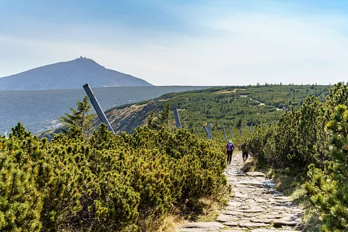 Śnieżka z Karpacza przez Pielgrzymy, Słonecznik i trzy karkonoskie schroniska