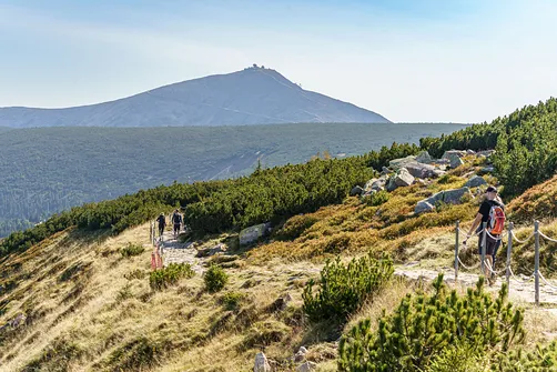 Śnieżka z Karpacza przez Pielgrzymy, Słonecznik i trzy karkonoskie schroniska