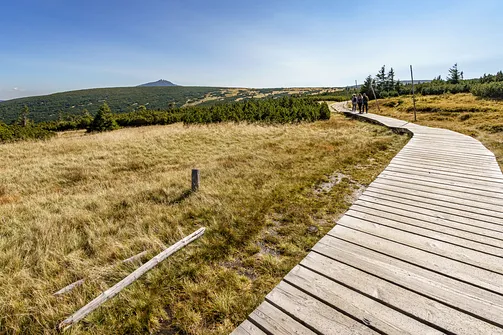 Śnieżka z Karpacza przez Pielgrzymy, Słonecznik i trzy karkonoskie schroniska