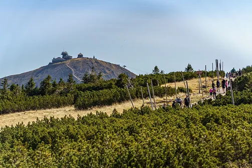 Śnieżka z Karpacza przez Pielgrzymy, Słonecznik i trzy karkonoskie schroniska