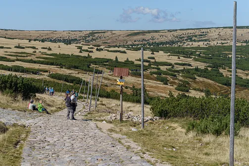 Śnieżka z Karpacza przez Pielgrzymy, Słonecznik i trzy karkonoskie schroniska