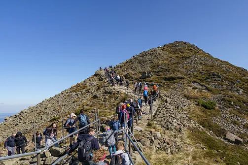 Śnieżka z Karpacza przez Pielgrzymy, Słonecznik i trzy karkonoskie schroniska