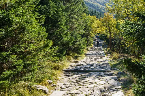 Śnieżka z Karpacza przez Pielgrzymy, Słonecznik i trzy karkonoskie schroniska