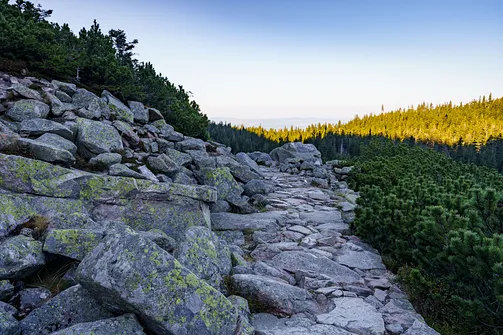 Śnieżka z Karpacza przez Pielgrzymy, Słonecznik i trzy karkonoskie schroniska