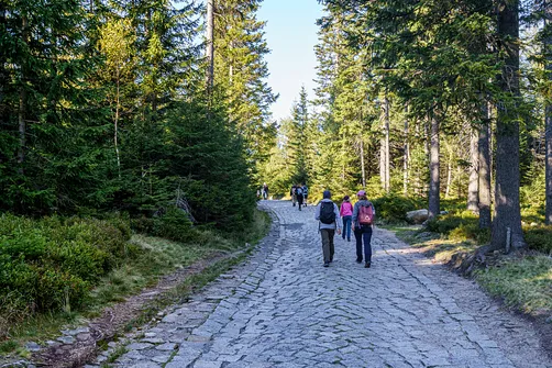 Śnieżka z Karpacza przez Pielgrzymy, Słonecznik i trzy karkonoskie schroniska