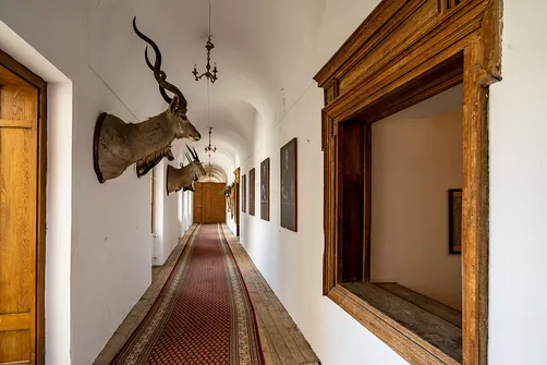 Zamek w Krasiczynie – perła renesansu na Podkarpaciu