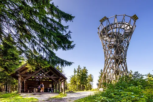 Borowa - trasa z Wałbrzycha przez Mały Wołowiec, Wołowiec i Kozioł