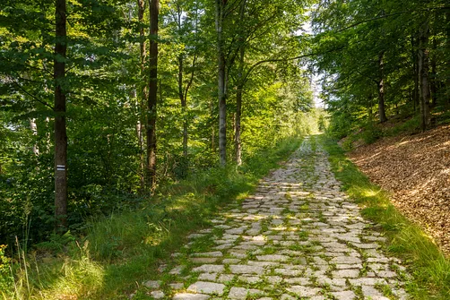 Borowa - trasa z Wałbrzycha przez Mały Wołowiec, Wołowiec i Kozioł