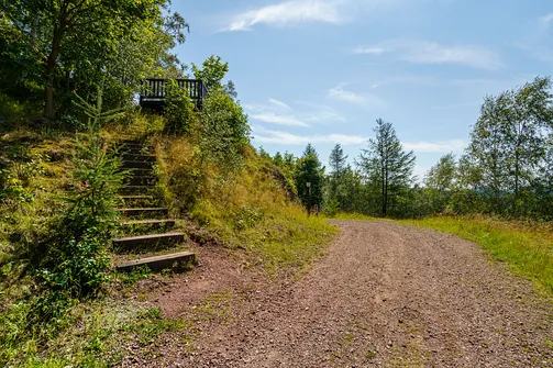 Borowa - trasa z Wałbrzycha przez Mały Wołowiec, Wołowiec i Kozioł