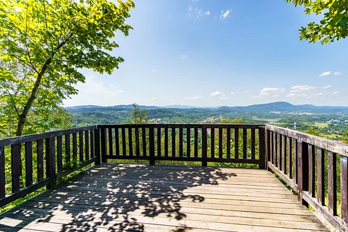 Borowa - trasa z Wałbrzycha przez Mały Wołowiec, Wołowiec i Kozioł