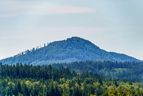 Borowa - trasa z Wałbrzycha przez Mały Wołowiec, Wołowiec i Kozioł