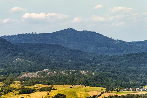 Borowa - trasa z Wałbrzycha przez Mały Wołowiec, Wołowiec i Kozioł