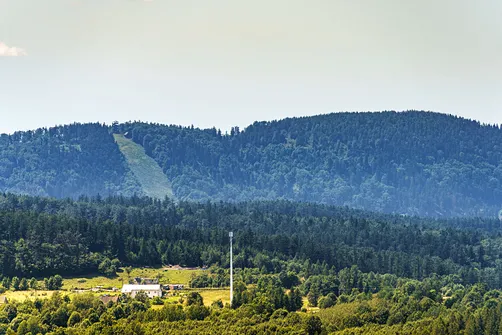 Borowa - trasa z Wałbrzycha przez Mały Wołowiec, Wołowiec i Kozioł