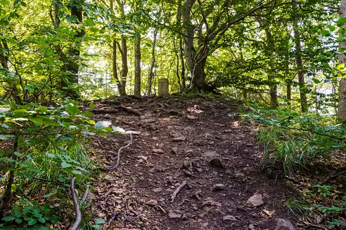 Borowa - trasa z Wałbrzycha przez Mały Wołowiec, Wołowiec i Kozioł