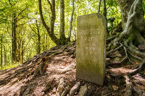 Borowa - trasa z Wałbrzycha przez Mały Wołowiec, Wołowiec i Kozioł