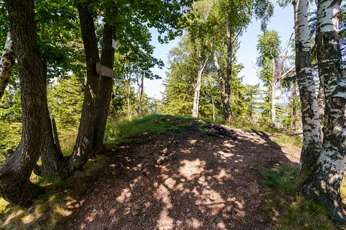 Borowa - trasa z Wałbrzycha przez Mały Wołowiec, Wołowiec i Kozioł