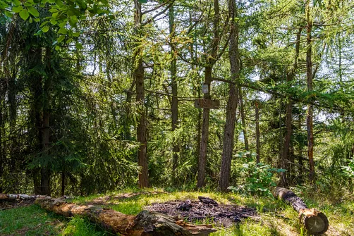 Borowa - trasa z Wałbrzycha przez Mały Wołowiec, Wołowiec i Kozioł