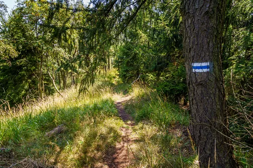 Borowa - trasa z Wałbrzycha przez Mały Wołowiec, Wołowiec i Kozioł