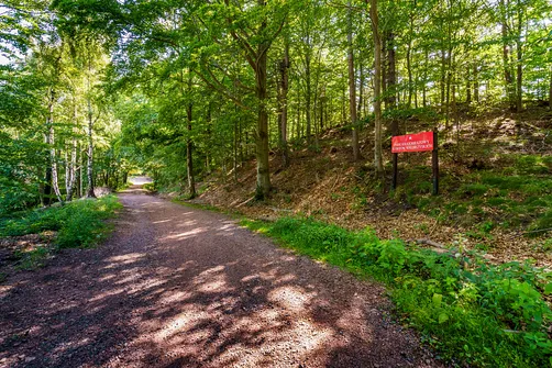 Borowa - trasa z Wałbrzycha przez Mały Wołowiec, Wołowiec i Kozioł