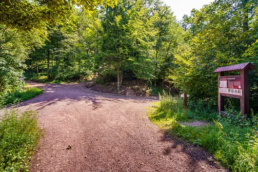 Borowa - trasa z Wałbrzycha przez Mały Wołowiec, Wołowiec i Kozioł