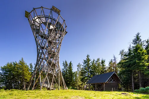 Borowa - trasa z Wałbrzycha przez Mały Wołowiec, Wołowiec i Kozioł