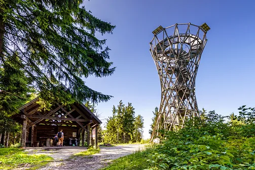 Borowa - trasa z Wałbrzycha przez Mały Wołowiec, Wołowiec i Kozioł