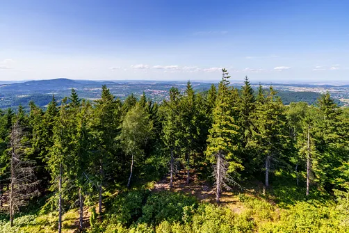 Borowa - trasa z Wałbrzycha przez Mały Wołowiec, Wołowiec i Kozioł