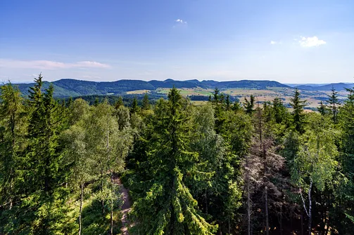 Borowa - trasa z Wałbrzycha przez Mały Wołowiec, Wołowiec i Kozioł