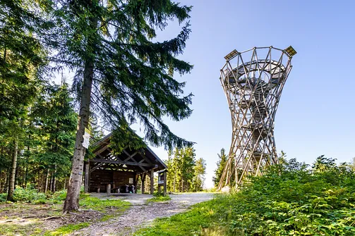 Borowa - trasa z Wałbrzycha przez Mały Wołowiec, Wołowiec i Kozioł
