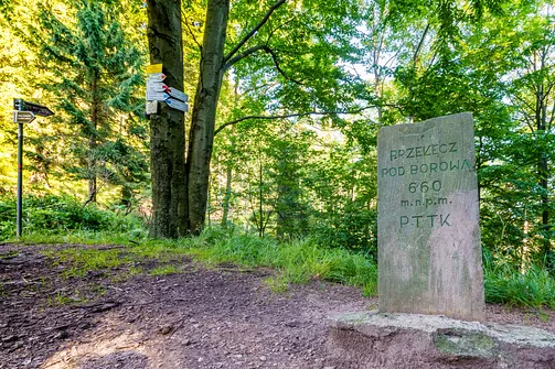 Borowa - trasa z Wałbrzycha przez Mały Wołowiec, Wołowiec i Kozioł