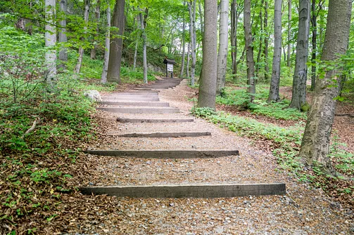 Zamek Pilcza - obronna twierdza na wapiennym wzgórzu w Smoleniu