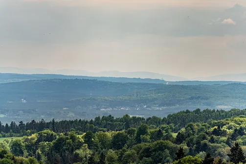 Widok z zamku Pilcza na szczyty Beskidu Małego
