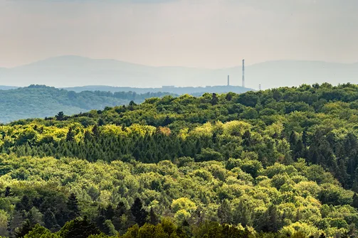 Widok z zamku w Smoleniu: Skrzyczne (po lewej) i Magura (po prawej) w Beskidzie Śląskim oraz kominy elektowni Siersza