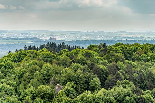 Zamek Pilcza - obronna twierdza na wapiennym wzgórzu w Smoleniu