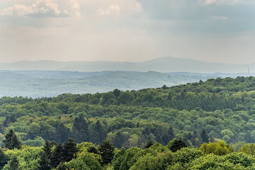 Zamek Pilcza - obronna twierdza na wapiennym wzgórzu w Smoleniu