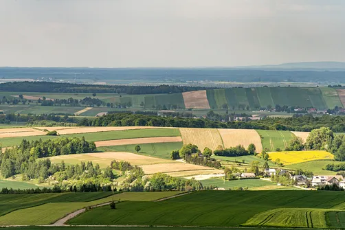 Zamek Pilcza - obronna twierdza na wapiennym wzgórzu w Smoleniu