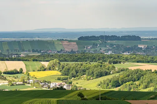 Widok z wieży zamku Pilcza: w oddali szczyty Pasma Przedborsko-Małogoskiego