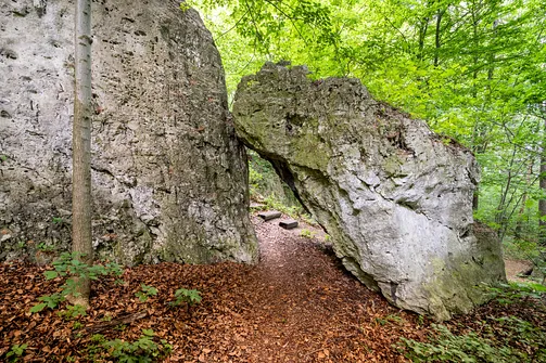 Zamek Pilcza - obronna twierdza na wapiennym wzgórzu w Smoleniu
