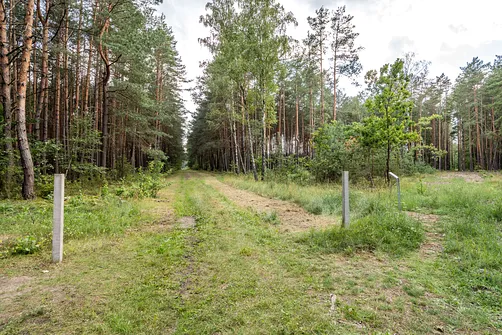 Niemiecki nazistowski obóz zagłady i obóz pracy w Treblince