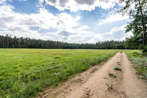 Niemiecki nazistowski obóz zagłady i obóz pracy w Treblince